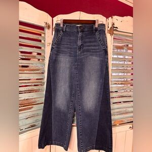 Gap 1969 High Rise Wide Leg Cropped Jeans Size 26